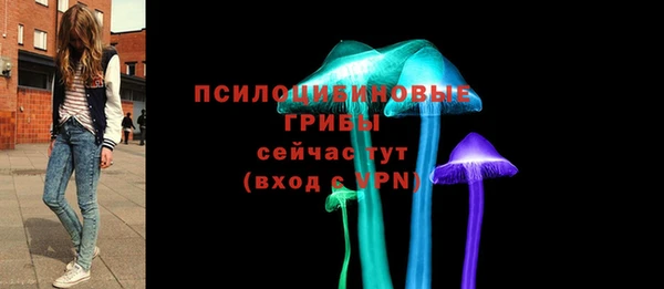 хмурый Протвино